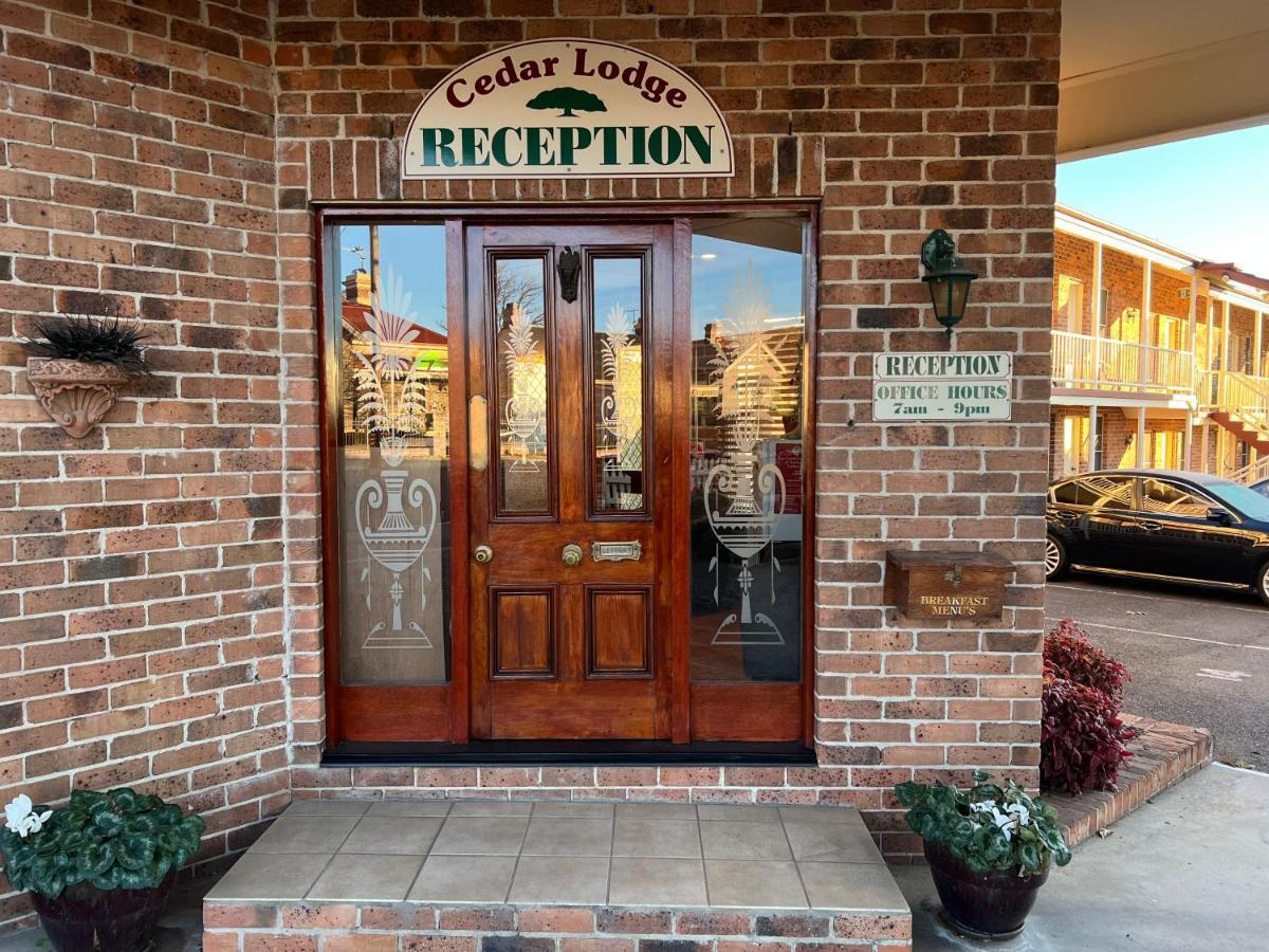 Cedar Lodge Motel Armidale Zewnętrze zdjęcie