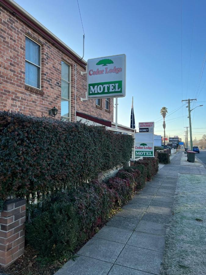 Cedar Lodge Motel Armidale Zewnętrze zdjęcie